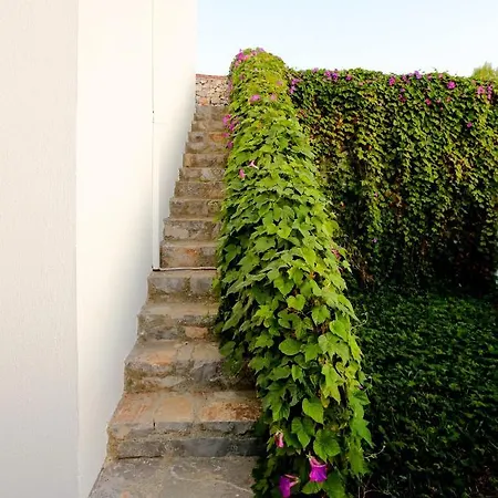 Horizon Villa *