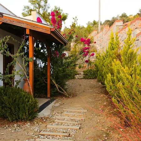 Villa Horizon *